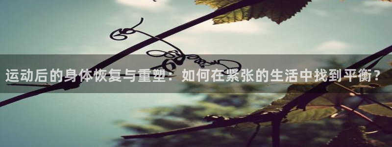 领航国际体育老板是谁