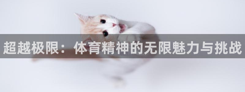 杭州意昂科技有限公司