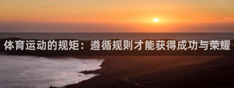 领航国际5招商