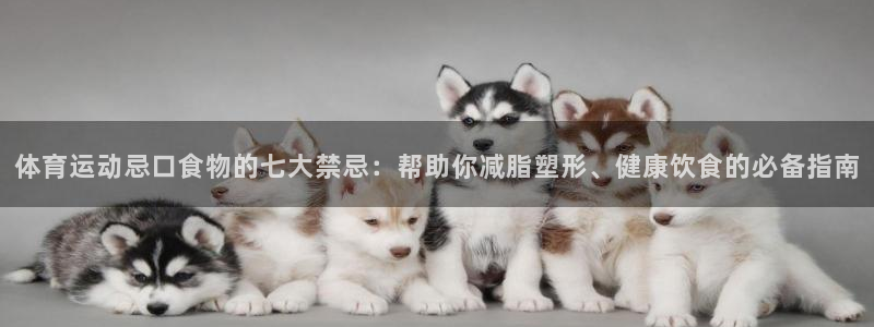 领航国际vk