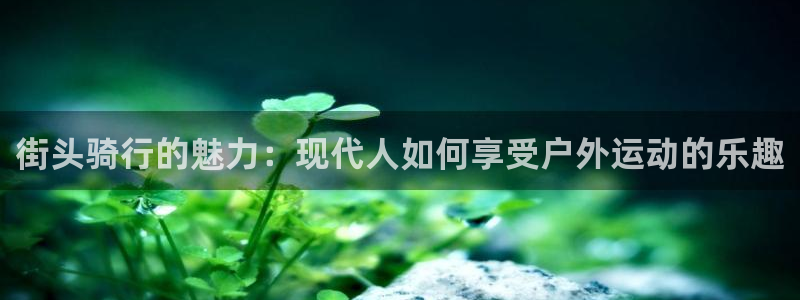 领航国际体育平台登录入口