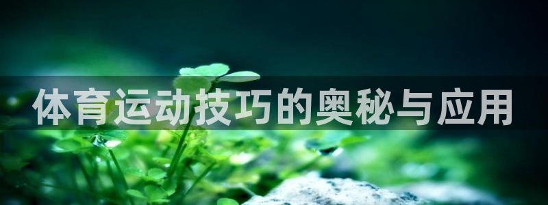 领航国际主管