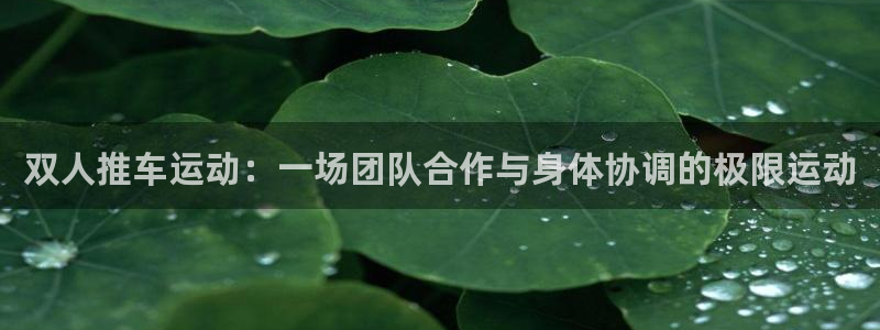 领航国际5注册