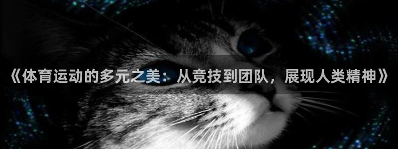 领航国际凯捷开号链接