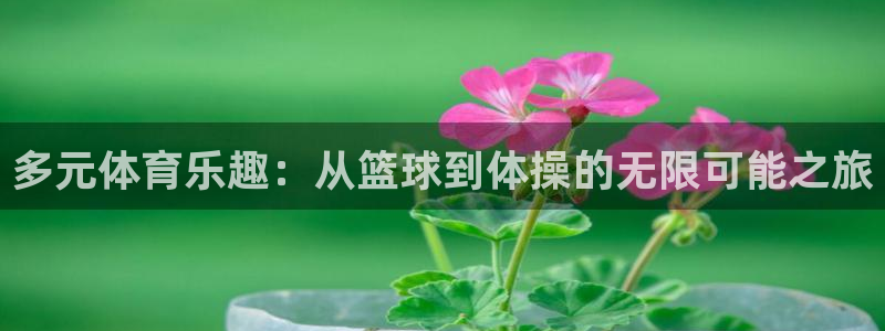 领航国际平台主管