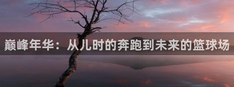 领航国际体育2