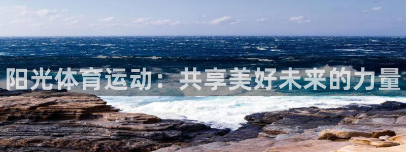 领航国际4代理