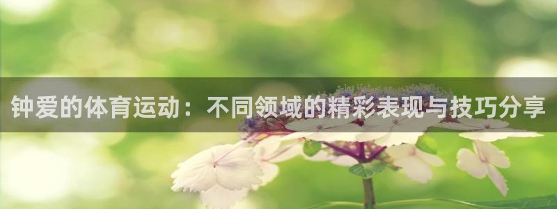 领航国际体育2
