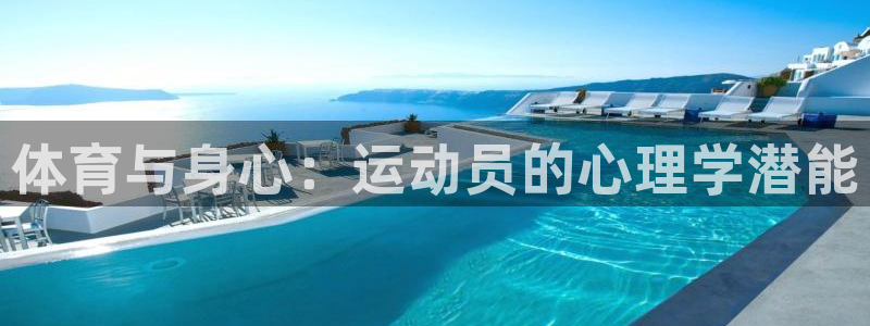 领航国际集团